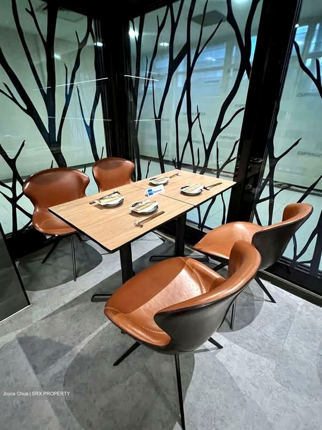 Cuppage Plaza (D9), Retail #596249091